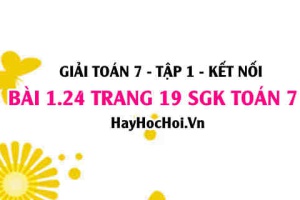 Giải bài 1.24 trang 19 Toán 7 Tập 1 SGK Kết nối tri thức